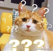 网上确认提交材料晚了怎么办（网上确认材料提交后）