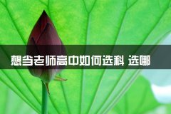 想当老师高中如何选科 选哪三科好