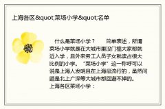 上海各区quot;菜场小学quot;名单