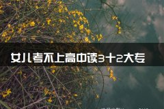 女儿考不上高中读3十2大专好吗 出路有哪些