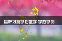 怎样才能学好数学 学数学的方法和技巧