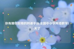 你有哪些好用的网课平台,全国中小学网络教学2天了