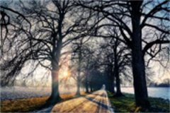 初中没学籍考上高中有学籍吗(初中没学籍考上