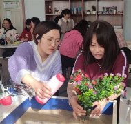 新城区中小学心理健康教育工作专业化体系培训持续开讲