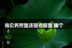 考公务员难还是考研难 哪个对未来发展好
