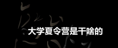 大学夏令营是干啥的 高校夏令营是什么意思?