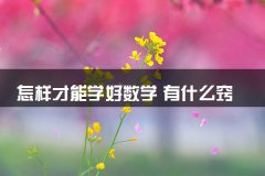 怎样才能学好数学 有什么窍门