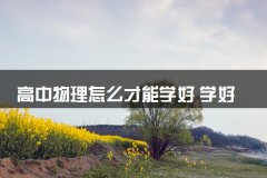 高中物理怎么才能学好 学好物理的窍门
