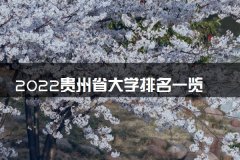 2022贵州省大学排名