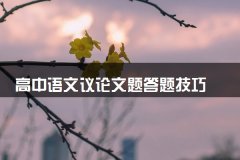 议论文题答题技巧