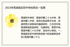 2023年芜湖各区初中学校排名一览表