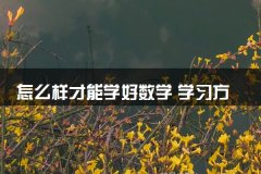 怎么样才能学好数学 学习方法有哪些