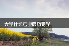 大学什么专业最容易学