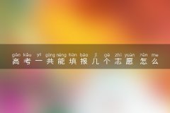 高考一共能填报几个志愿