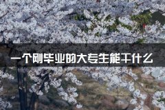 一个刚毕业的大专生能干什么 可以找什么工作