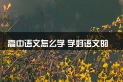 高中语文怎么学 学好语文的技巧