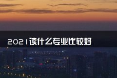 2021读什么专业比较好