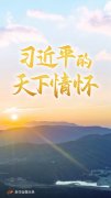 习近平的天下情怀