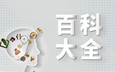 毕业证弄丢了怎么办？毕业证丢了能补办吗？