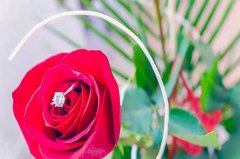 专科可以考研吗 成人大专可以报名吗