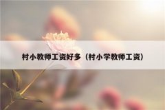 村小教师工资好多（村小学教师工资）