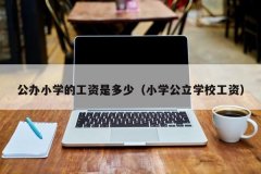 公办小学的工资是多少（小学公立学校工资）