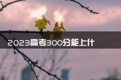 2023高考300分能上什么学校 怎样选学校