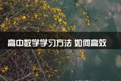 高中数学学习方法 如何高效学数学