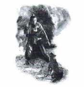 语文七上第五单元测试卷（部编版七上语文第五单元检测试卷）