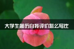 大学生简历自我评价怎么写比较好