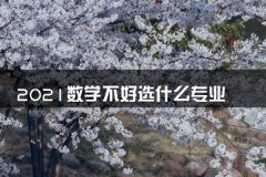 数学不好选什么专业比较好