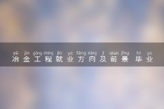 冶金工程就业方向