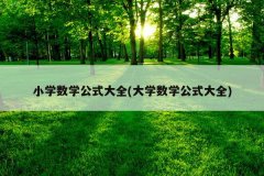 小学数学公式大全(大学数学公式大全)