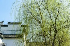 公务员考试平语近人（公务员考试平语近人）