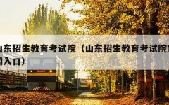 山东招生教育考试院（山东招生教育考试院官网入口）