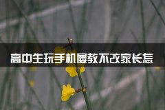 高中生玩手机屡教不改家长怎么办