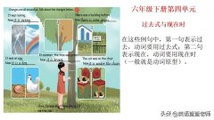 pep小学英语知识点大全（新版PEP小学英语语法汇总）