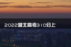 2022湖北高考310分上什么大学