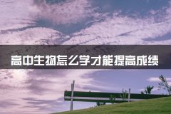 <b>高中生物怎么学才能提高成绩</b>