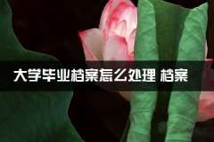 大学毕业档案怎么处理 档案丢失怎么办