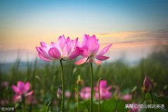 英语句型转换方法和技巧（小学到高中都能用的英语短语汇总）
