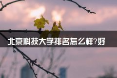 <b>北京科技大学排名怎么样？好专业有哪些？</b>