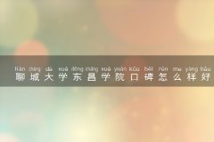 聊城大学东昌学院口碑怎么样好就业吗 全国排名第几