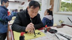 合肥市南门小学上城国际分校：“教坛新星”引领新课堂