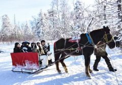 延邊州安圖縣：冰雪“冷資源”釋放經濟“熱效應”