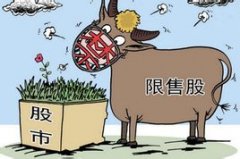 限售股是什么意思？限售股概念解读