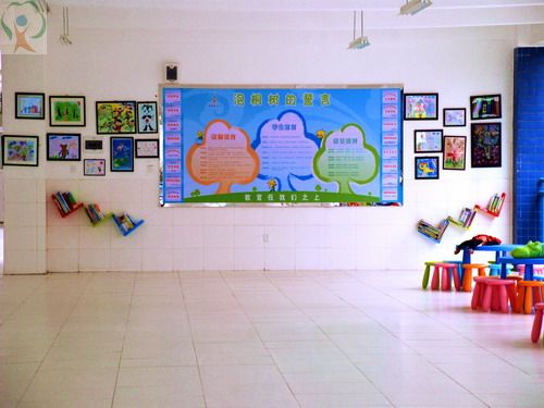 泡桐树小学西区