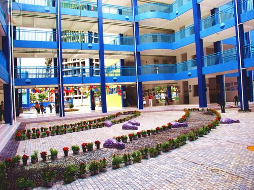 泡桐树小学西区校园环境
