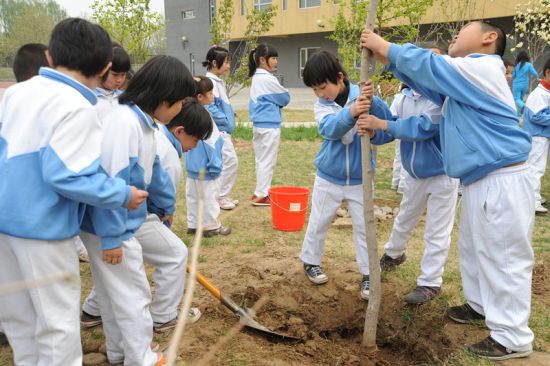 学校成长林 “我与小树共成长”