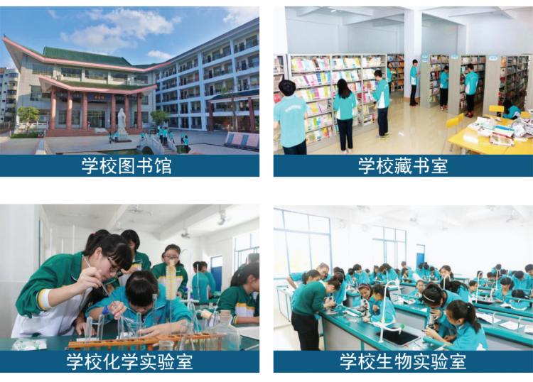 图片 4.png